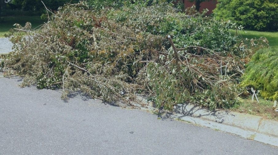 The City of Vidor will pick up roadside debris from this weeks storm starting Monday, November 1st.