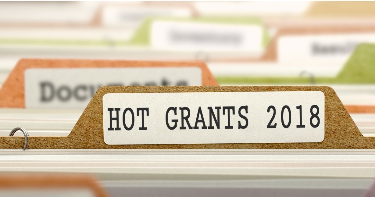 HOT_grants_2018